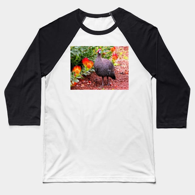 Guineafowl & Protea flowers, Kirstenbosch National Botanical Garden, Cape Town, South Africa Baseball T-Shirt by vadim19